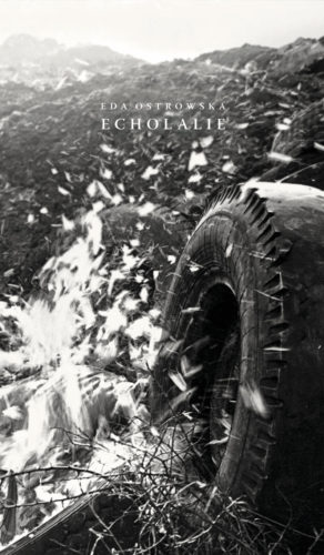 img-book